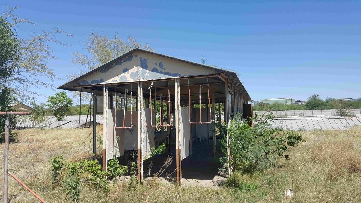 2019–20 auction asset