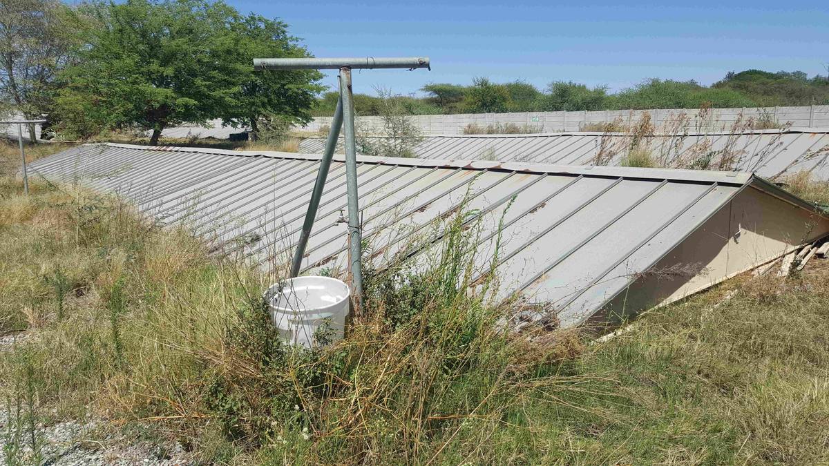 2019–20 auction asset
