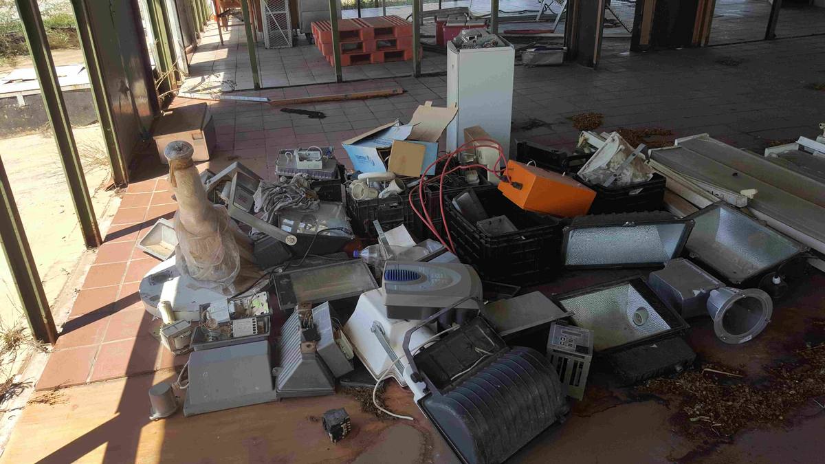 2019–20 auction asset
