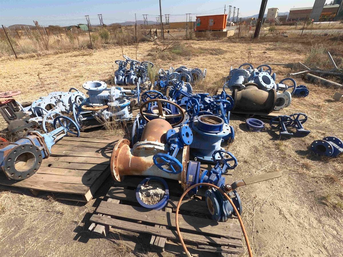 2021 auction asset