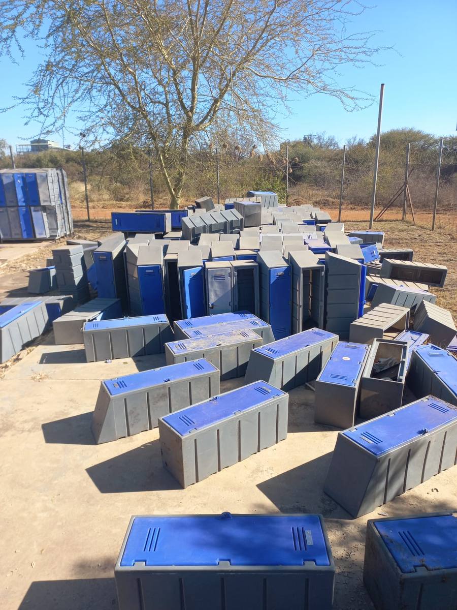 2024 auction asset